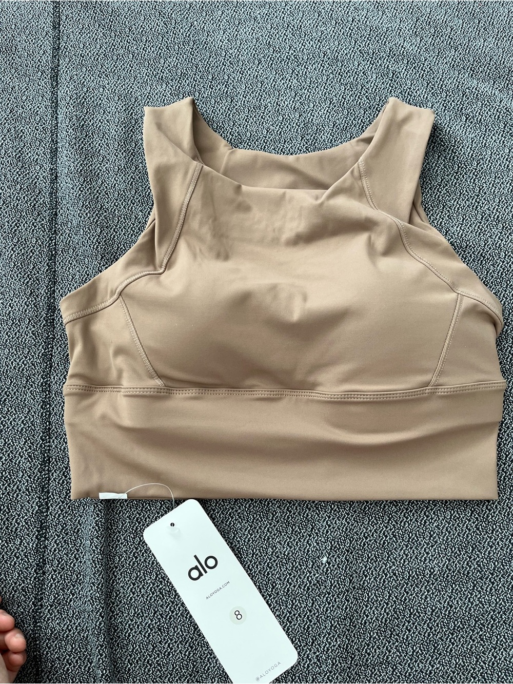 ALO Yoga High-Neck Sports Bra in Taupe